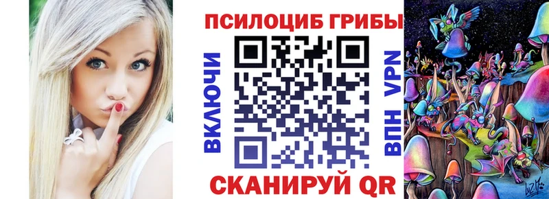даркнет сайт  Боровск  Галлюциногенные грибы Psilocybe 